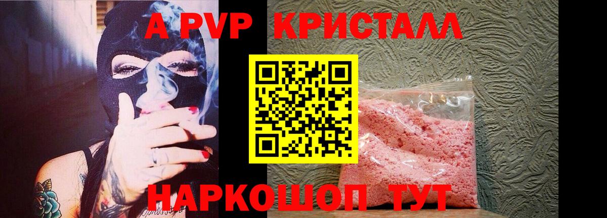 Альфа ПВП СК Новошахтинск