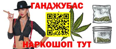 дмт Гай
