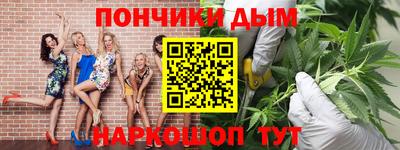 дмт Гай