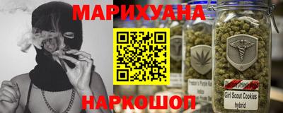 дмт Гай