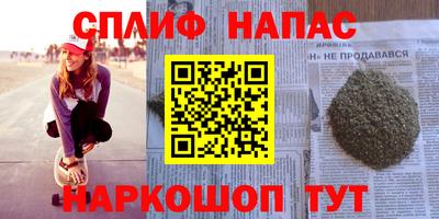 дмт Гай