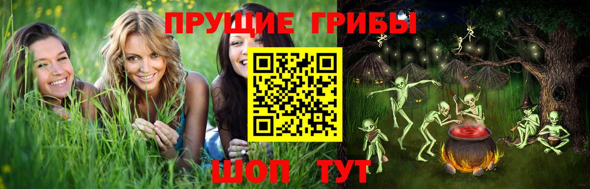 ГАШИШ Новошахтинск