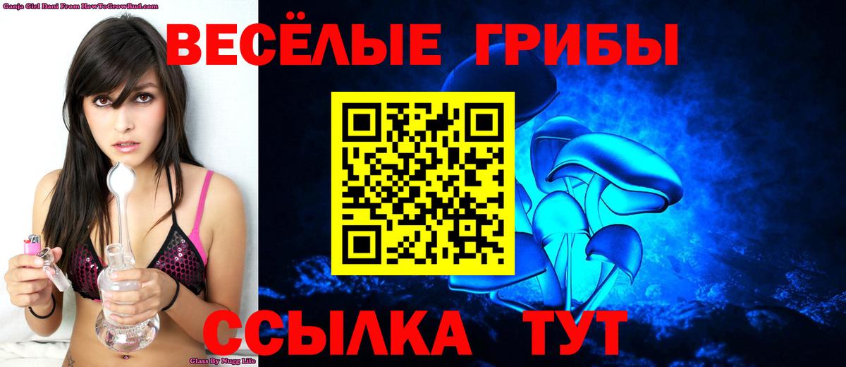 Галлюциногенные грибы мухоморы Новошахтинск