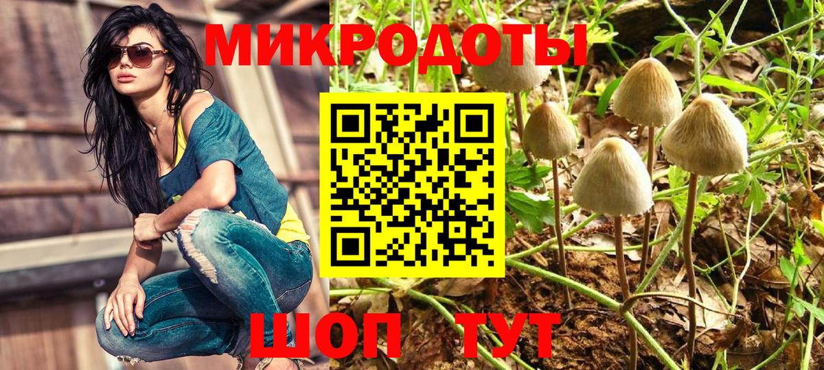 Новошахтинск  Псилоцибиновые грибы MAGIC MUSHROOMS  Вход с VPN 