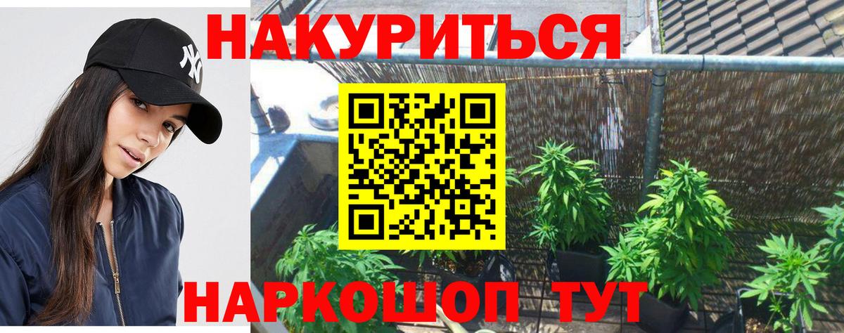 Новошахтинск  Бошки Шишки марихуана  Вход с VPN  Бошки Шишки SATIVA & INDICA  Шишки марихуана Ganja 